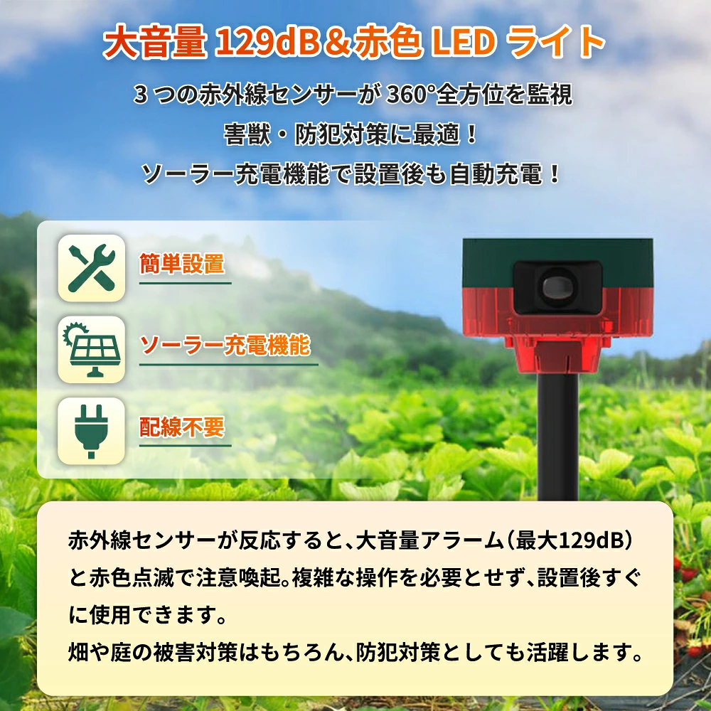 SSA01 特徴説明画像