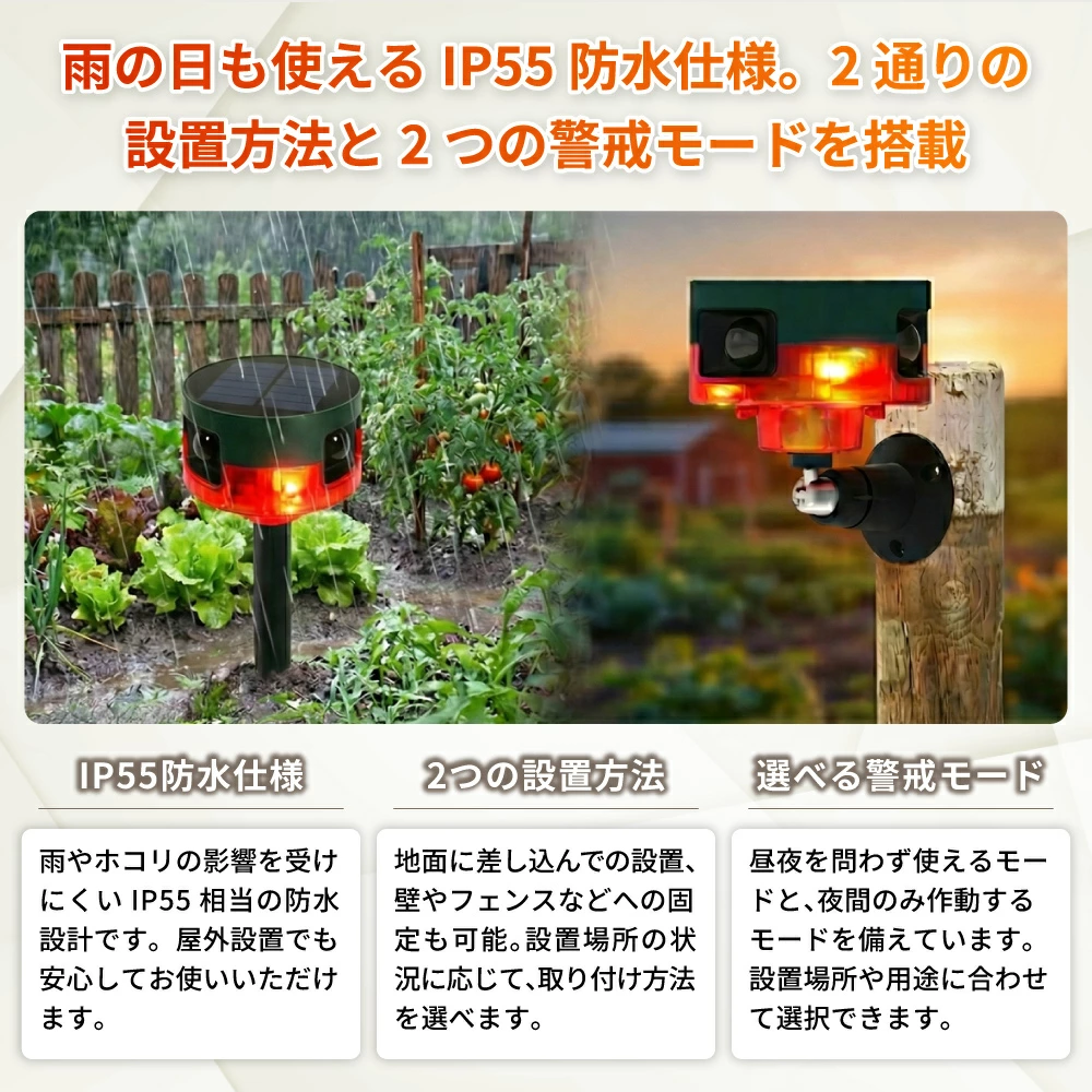 SSA01 詳細1