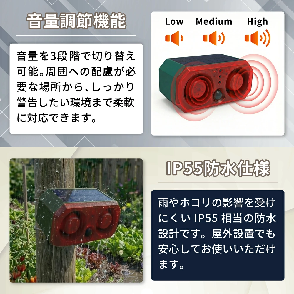 SSA02 詳細2