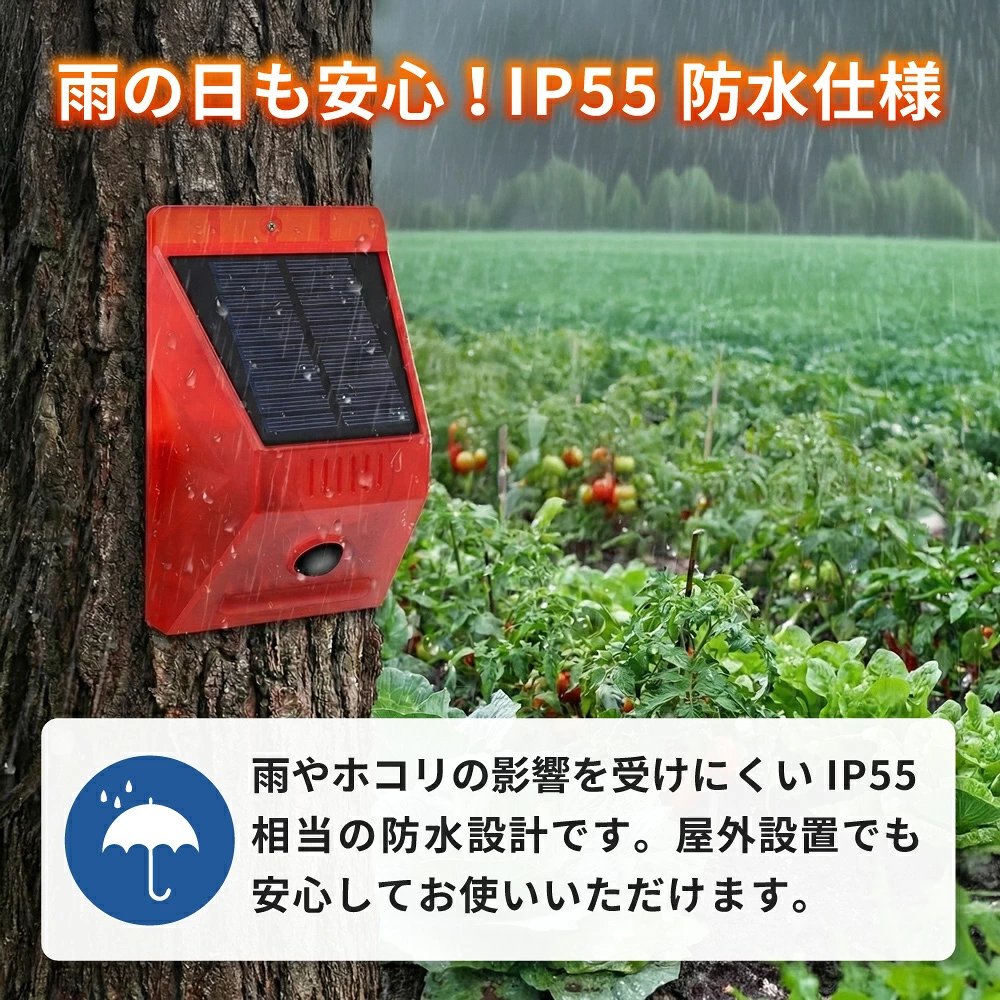 SSA03 詳細2